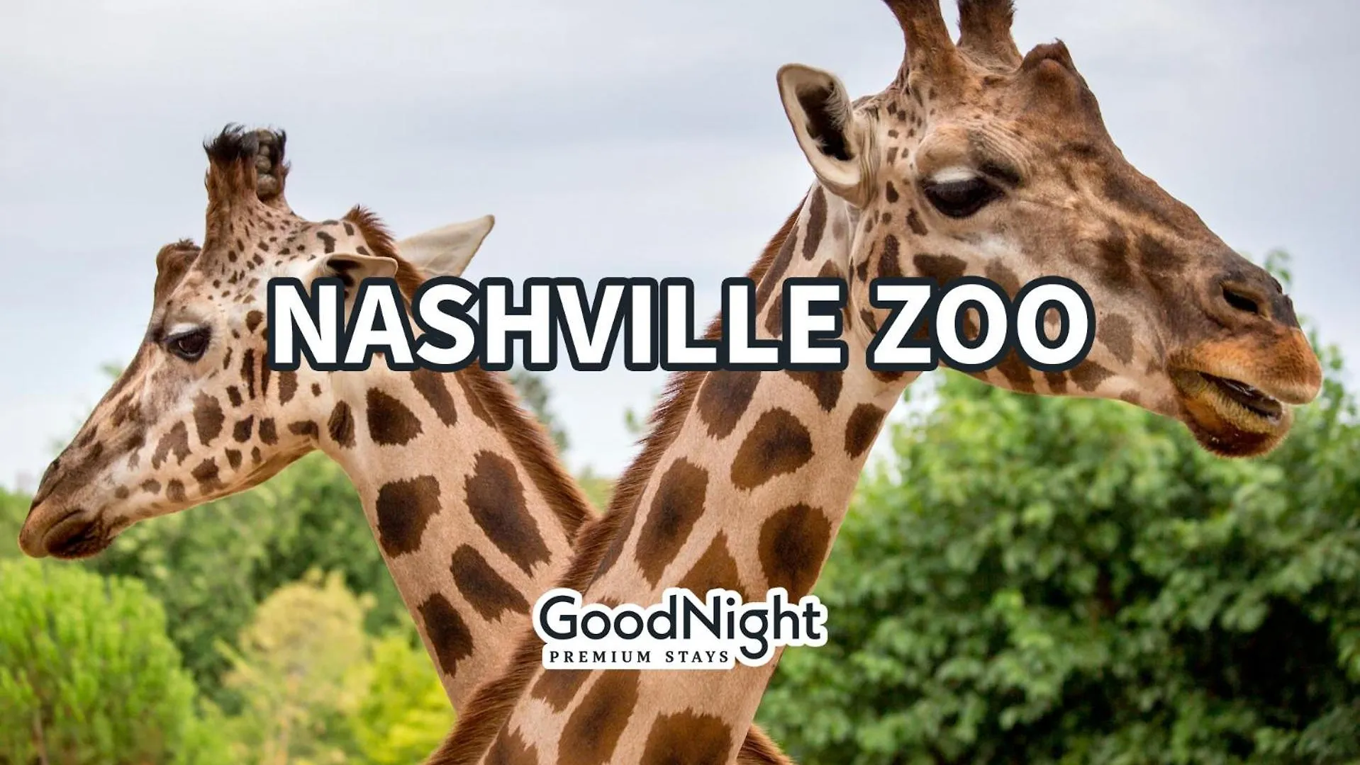 Modest Melrose - 5 Mins To Broadway - Rooftop Deck Nashville United States